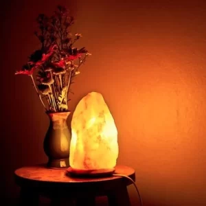 Pink Himaliyan Salt Lamps